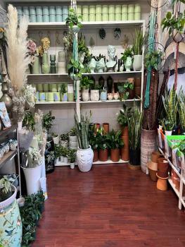  Owner Absentee Flower Shop Boutique for Sale, Berkeley,  #2