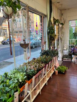  Owner Absentee Flower Shop Boutique for Sale, Berkeley,  #3