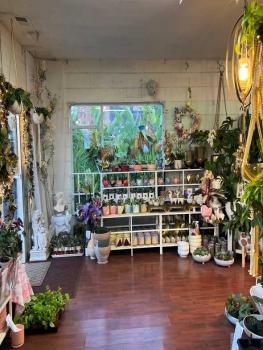  Owner Absentee Flower Shop Boutique for Sale, Berkeley,  #4